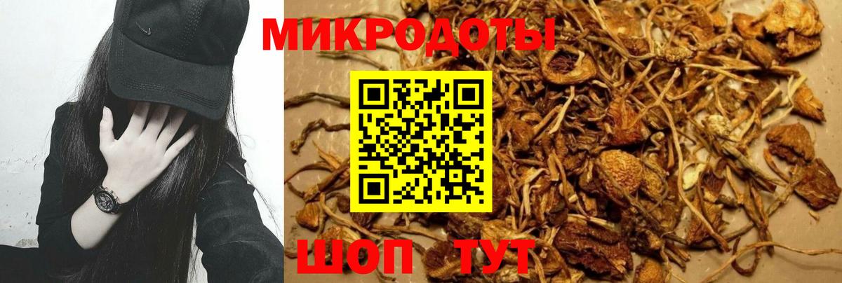 Гулькевичи  Псилоцибиновые грибы GOLDEN TEACHER  как найти   Вход с VPN 
